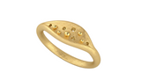 Orion Band Ring in Brushed Yellow Gold - Angled