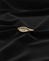 Orion Band Ring in Close Up